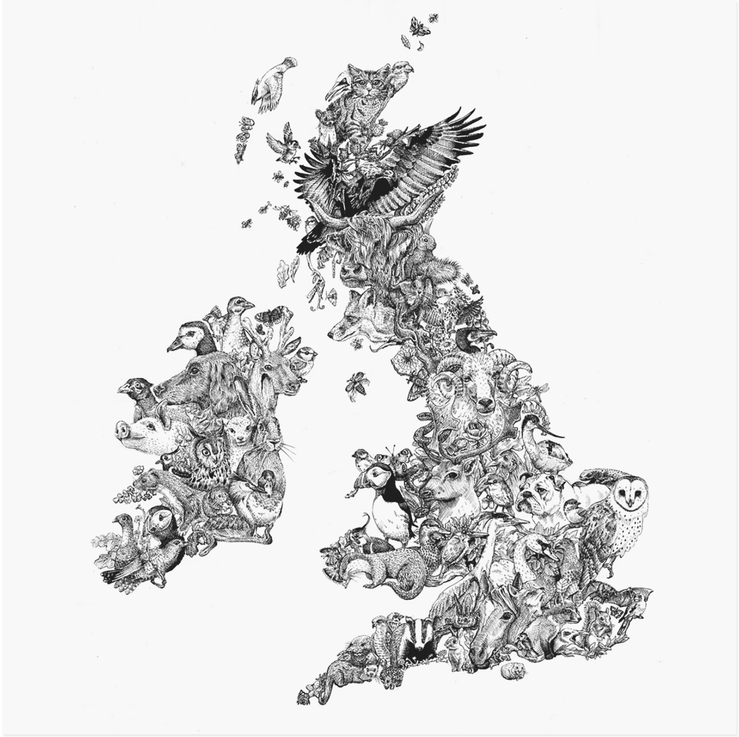 Inktron, UK Wildlife Map 